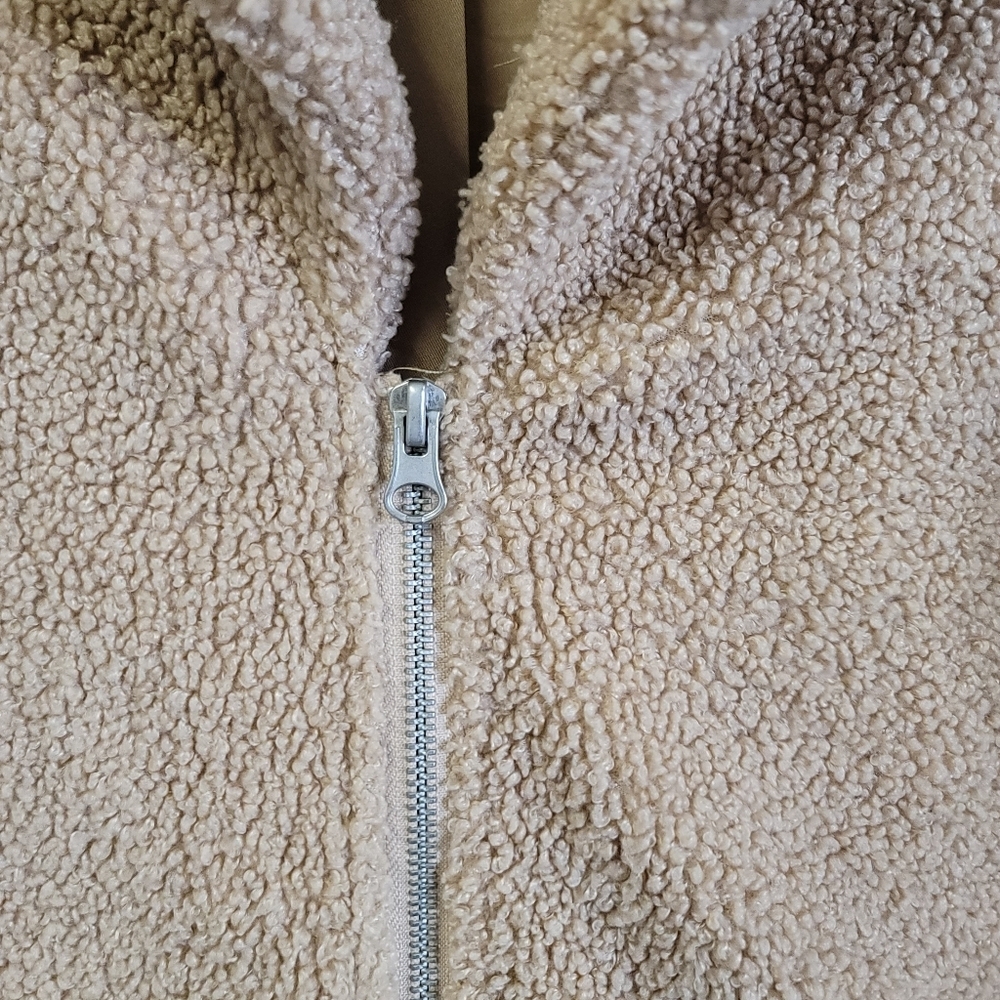 Gentle fawn Teddy short coat - Picture 6 of 10